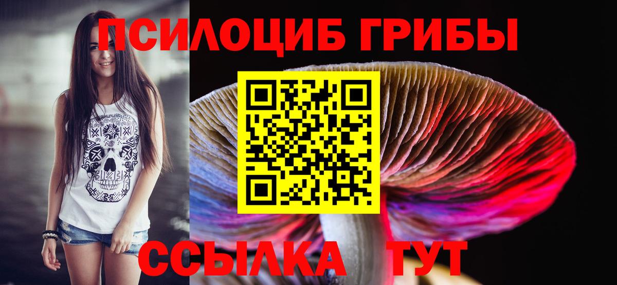 Галлюциногенные грибы мухоморы  Вход с VPN  Волгодонск 